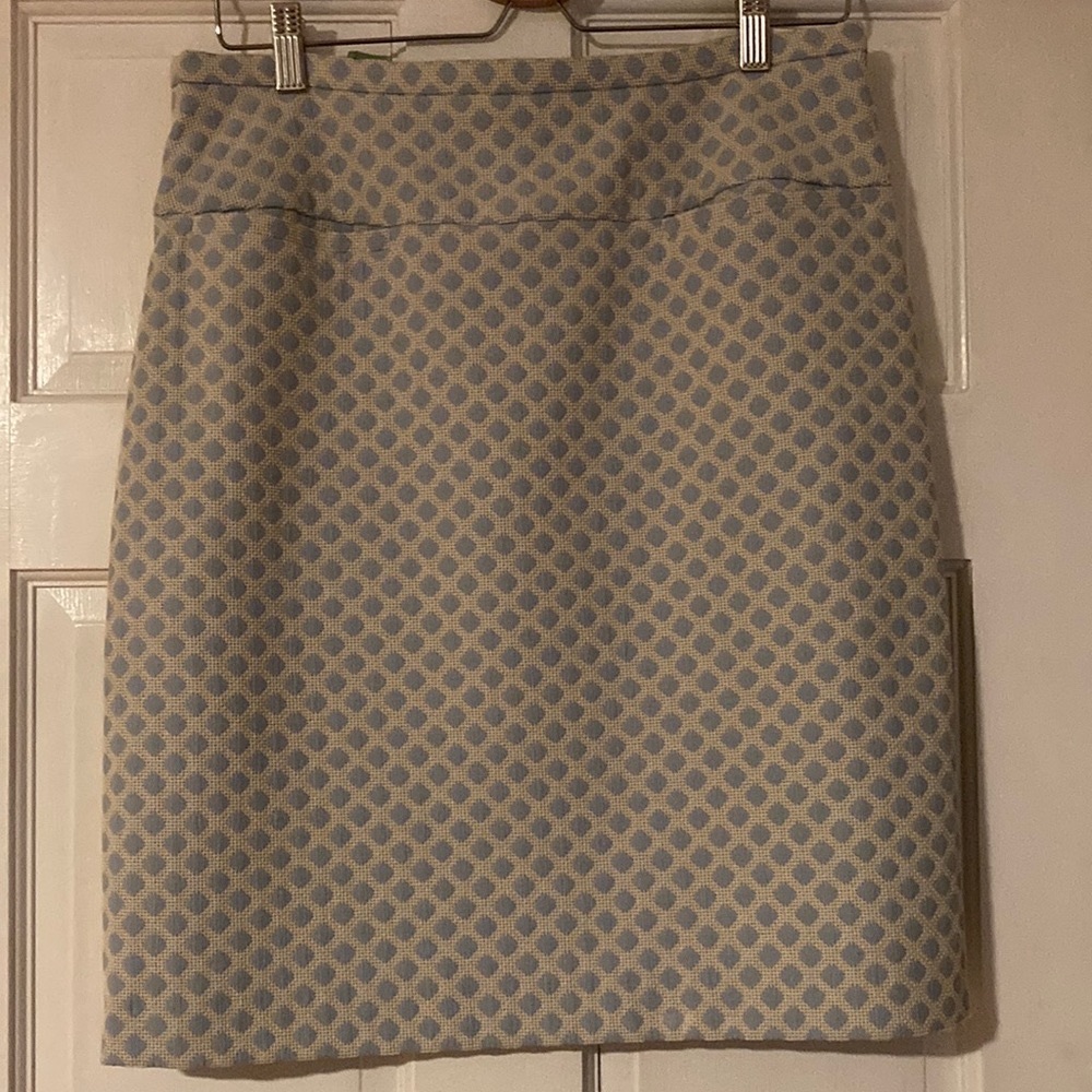 Size 10 Brooks Brothers skirt